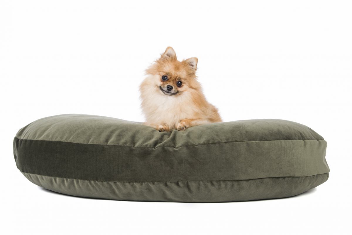 BALANCE Hundebett Für Mittelgroße Hunde – 76x48 Cm, Wasserdicht, Mit Nackenrolle, Rutschfeste Unterseite