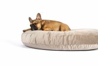 Luna Lounge Luxury Velvet-Taupe