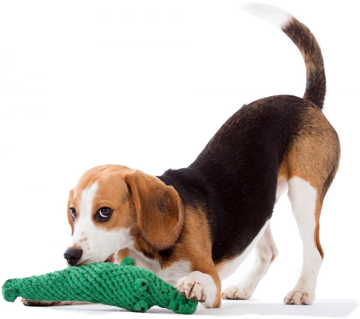 LAY LO Hundespielzeug Aus Natürlicher Baumwolle – 45,7 Cm, 2 Stück, Boho-Design Mit Griff, Für Mittelgroße/große Hunde