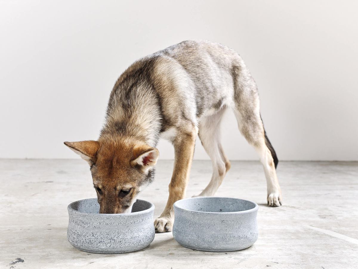 ROCKY Edel-Napf für Hund und Katze ROCKY Fine bowl for dogs