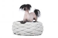 Hundekorb Riva Light-Grey