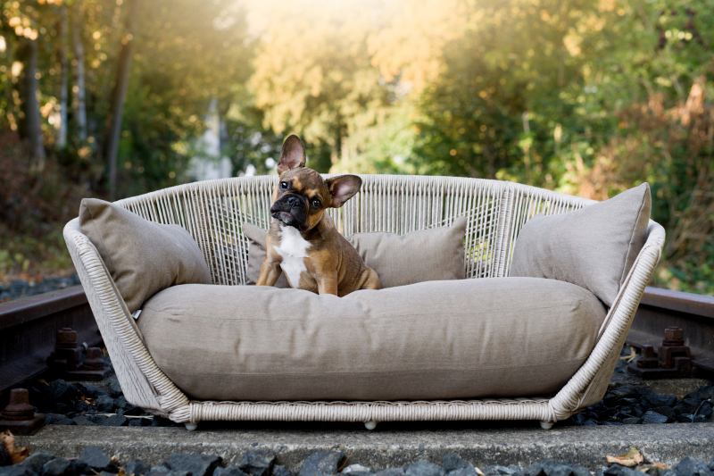 LABONI - Design for dogs and owners