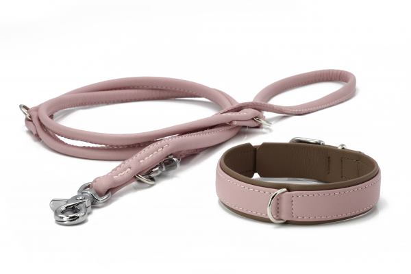 AMICI - Stylish leash & collar set for fashion conscious dog lovers