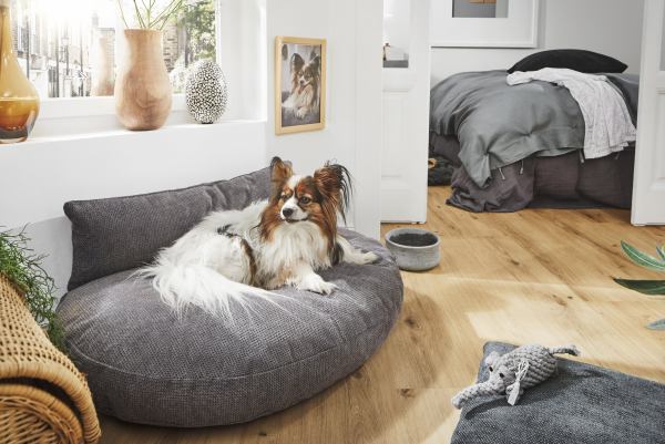 LUNA LOUNGE - Dog lounge cushion - TUDOR Collection