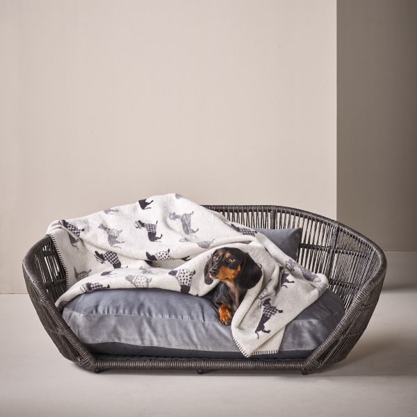 Blanket TECKEL - Cozy dachshund blanket