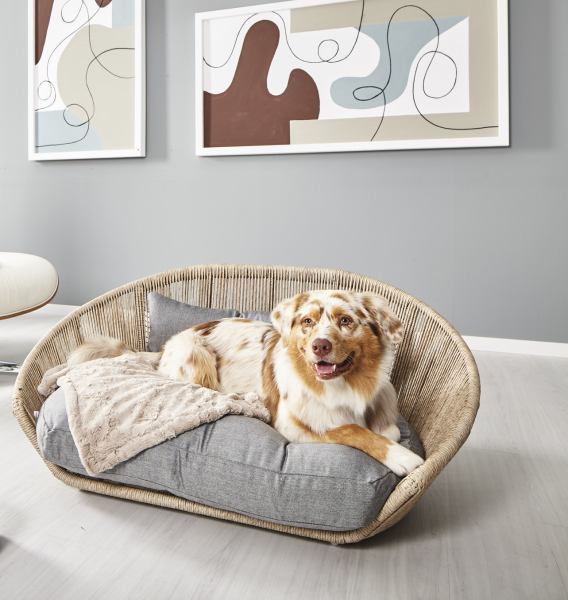 VOGUE - Design dog bed - Collection SMOOTH