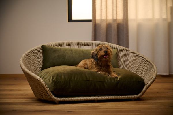 VOGUE - Design dog bed - Collection OXFORD
