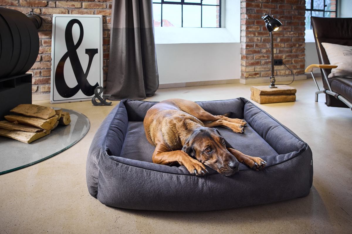 ORTHO Hundebett - BUFFALO | ORTHO Hundebett - BUFFALO | ORTHOPDISCH |  HUNDEBETTEN | LABONI - Design fr Hund und Halter