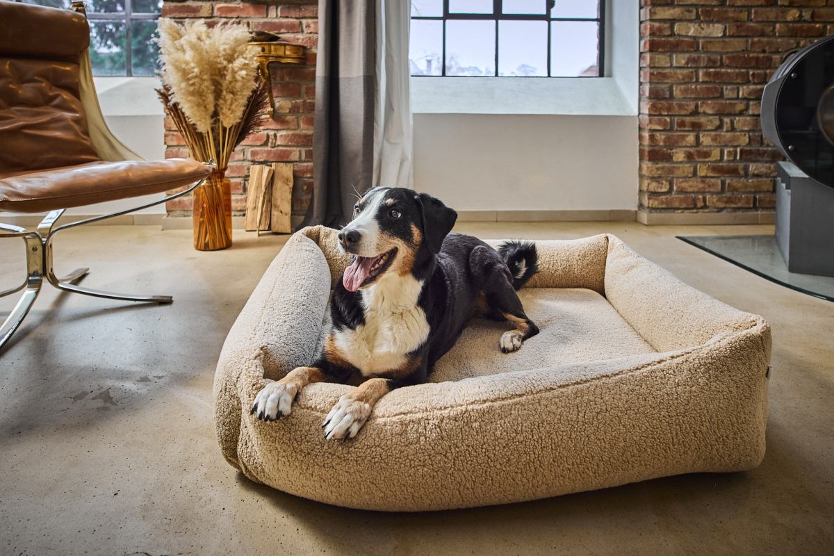 Best large dog beds 2018 best sale