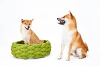 Hundekorb Riva Pistachio