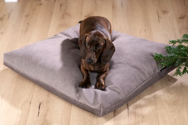 LUNA LOUNGE SET - Dog lounge cushion - OXFORD Collection