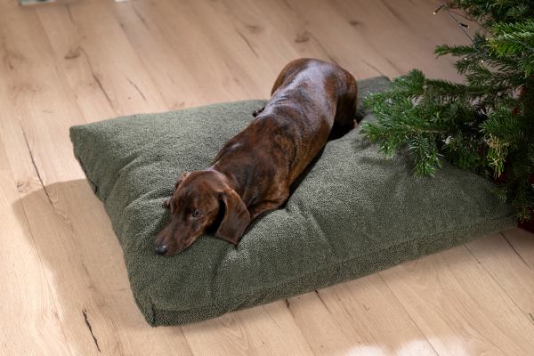 LUNA LOUNGE SET - Dog lounge cushion - OXFORD Collection