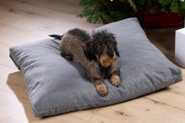 LUNA LOUNGE SET - Dog lounge cushion - OXFORD Collection